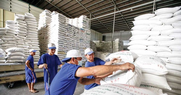 Giá lúa gạo biến động thất thường, Bộ Công Thương lập đoàn kiểm tra