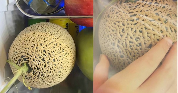 Quả dưa lưới trông như tổ chấy, nhìn đã rùng mình nghe giá còn tá hỏa hơn
