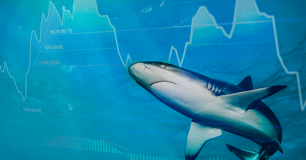 Quan điểm của PYN Elite Fund sau khi chốt lời FPT, CMG có gây tranh cãi?