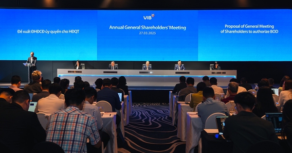 ĐHCĐ VIB: Kế hoạch lợi nhuận năm 2025 trên 11 ngàn tỷ đồng, trả cổ tức bằng tiền mặt và tiếp tục tăng vốn điều lệ