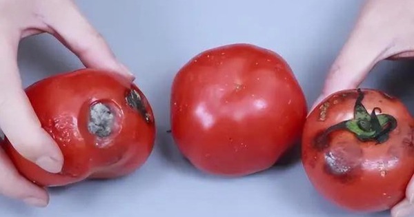 Ngược đời: 6 loại rau củ càng bảo quản lạnh càng nhanh hỏng, nhiều người mắc sai lầm!