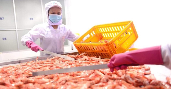 Các chính sách mới về lao động, việc làm hiệu lực từ tháng 4-2025