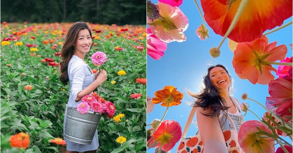 Chị em tuổi trung niên nên trồng 5 loại hoa này: Hoa đẹp, người khỏe, càng sống càng trẻ!