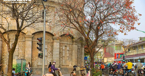 'Góc Paris' giữa lòng Hà Nội tấp nập người check in mùa lộc vừng rụng lá