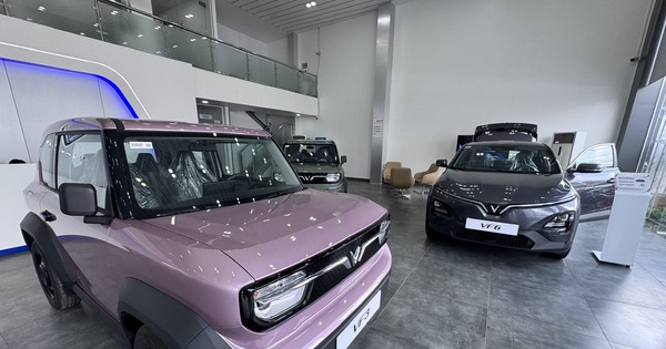 VinFast bỏ chính sách thuê pin, khách mua xe nói gì?