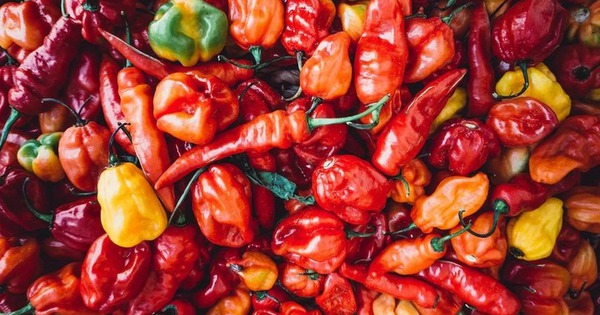 Loại quả "khắc tinh" của mỡ máu và đau đầu nhưng lại "đại kỵ" với bệnh thận