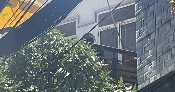 Đang bao vây đối tượng đâm chiến sĩ công an, cố thủ trong nhà ở Vũng Tàu