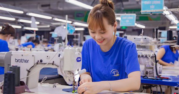 TNG muốn hủy kế hoạch chào bán cổ phiếu cho cổ đông, chia cổ tức 2024 bằng tiền