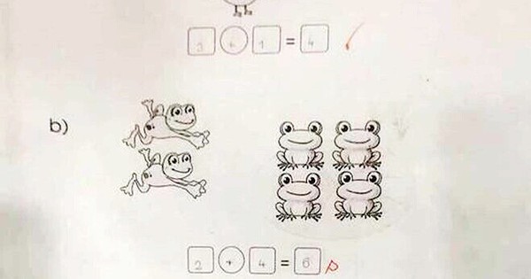 Học sinh tiểu học tính "2+4=6" bị gạch sai, phụ huynh lên mạng kêu than thì 100% khẳng định: Sai chứ còn gì?