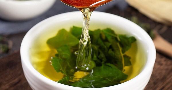Người Việt có loại lá chống rụng tóc, kích thích mọc tóc con cực "nhạy", biết tận dụng còn trị được nhiều bệnh vặt