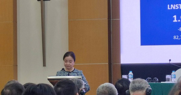 ĐHĐCĐ REE: Tiết lộ khoản đầu tư vào VIB đang lời 60%, CEO Mai Thanh nói gì khi sắp cạnh tranh với Vingroup trong mảng năng lượng?