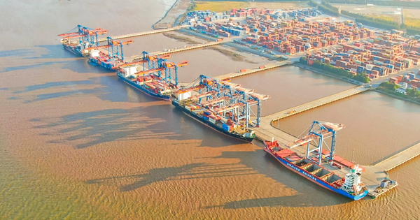 Loạt lãnh đạo Gemadept ồ ạt dự chi trăm tỷ mua cổ phiếu