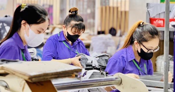 Thu nhập công nhân may thuộc nhóm thấp nhất