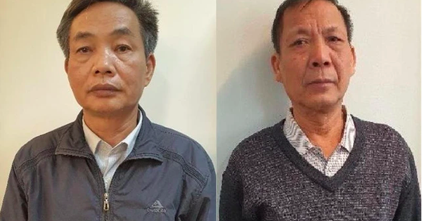 Gây thiệt hại hơn 38 tỉ đồng, cựu tổng giám đốc Tổng Công ty Chè Việt Nam hầu toà