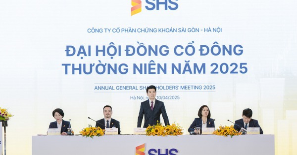 Cổ đông phản ánh ứng dụng SHS khó dùng, chủ tịch Đỗ Quang Vinh nói gì?