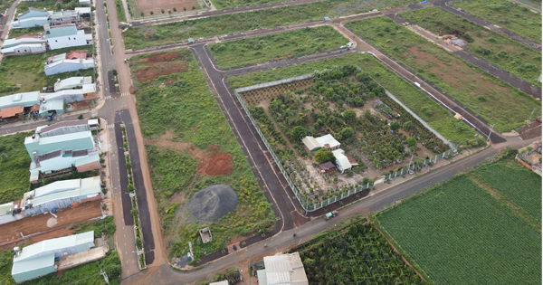 205 lô đất chậm nộp tiền đấu giá, tỉnh Gia Lai không thể thu hồi tiền đặt cọc