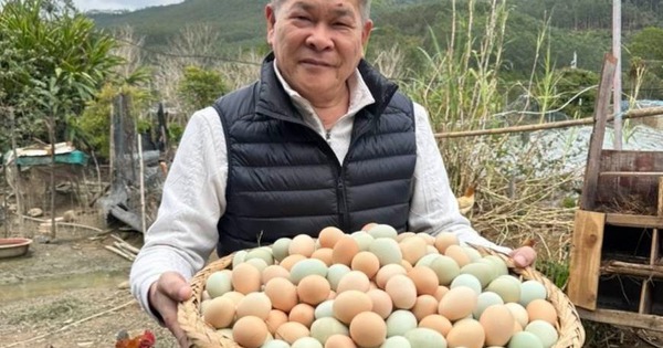 Nam diễn viên hạng A phá sản vì món nợ 191 tỷ, lâm cảnh thảm về quê bán trứng gà, khoai lang kiếm sống
