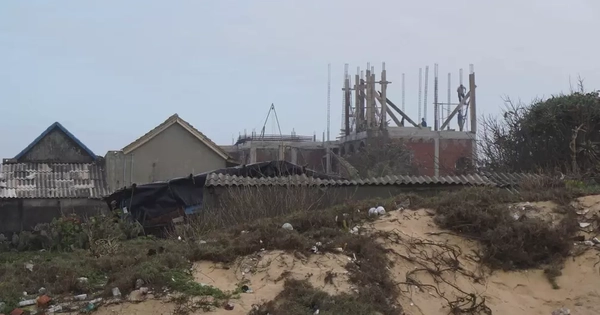 "Sốt" đất vùng sạt lở biển Bình Định: Kiểm tra, thu hồi các sổ đỏ còn tồn tại ở vùng triều cường