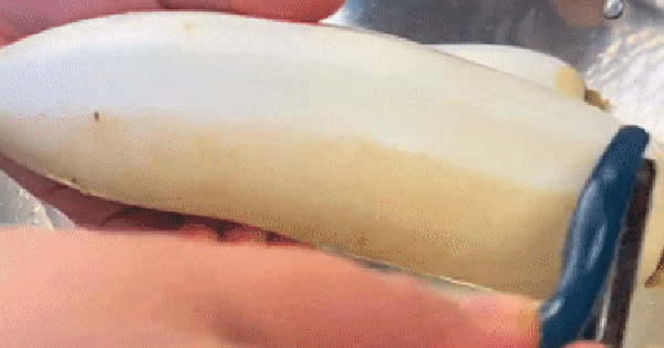 Danh sách đen 4 loại rau củ dễ ngấm thuốc kích thích - Mua về ăn "rước họa vào thân"