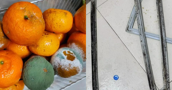 Nói thật: Nơi tưởng sạch nhất trong nhà lại là "hang ổ" của vi khuẩn, nấm mốc khiến "bệnh từ miệng mà vào"