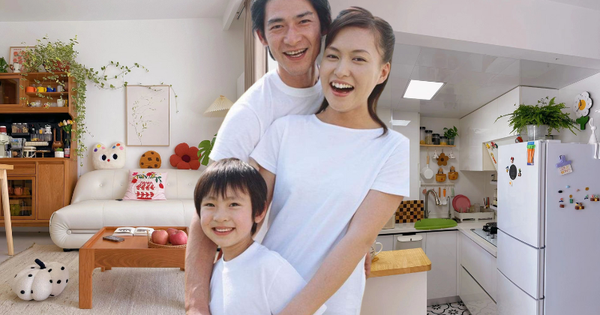 Giá nhà Thủ đô đắt đỏ, đôi vợ chồng trẻ quyết định về tỉnh lẻ mua nhà 46m2: Nhìn căn bếp thôi ai cũng mê