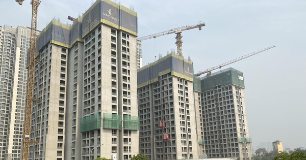 Phân khúc bất động sản nào tăng giá cao nhất thời gian qua?