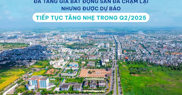 BHS R&D: Giao dịch chung cư “khựng lại”, đất nền hút người mua trong 3 tháng đầu năm 2025