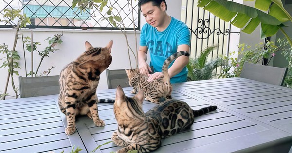 "Vua nhạc đỏ": U50 có biệt thự, nhà mặt phố Hà Nội là chủ 2 nhà hàng nhưng "của để dành" mới khủng