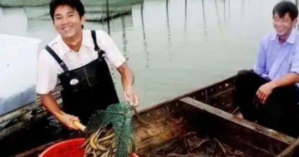 Bỏ phố về quê nuôi loài trơn nhẫy, sợ ánh sáng mà kiếm hơn 20 tỷ/năm