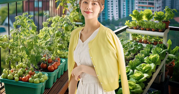 Người phụ nữ trung niên bất ngờ "nổi như cồn" vì khu vườn trên ban công chỉ rộng 9m2 nhưng trồng được rau xanh mướt, quả đỏ mọng!