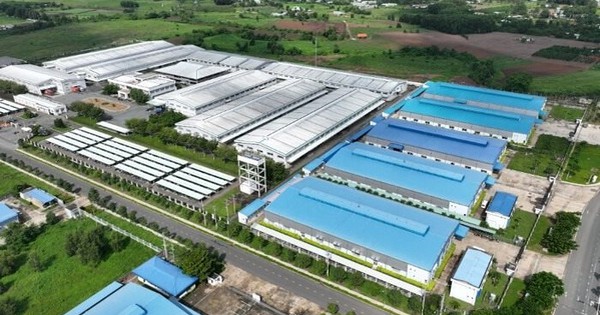 Một công ty BĐS Khu công nghiệp báo lãi ròng quý 1/2025 tăng 106%, ký mới 3 MOU gần 10ha