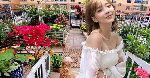Từ bãi đất trống thành "thiên đường": Cô gái bỏ phố về biển, cải tạo 50m² sân vườn, ai đi ngang cũng phải ngoái nhìn