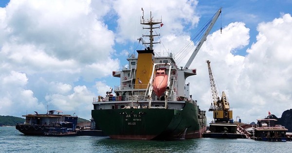 Lãi 1-2 tỷ/năm, công ty đại lý tàu biển được rao bán giá 336.000 đồng/cp