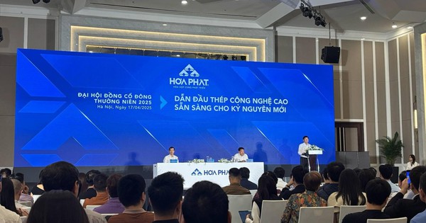 Tỷ phú Trần Đình Long: Phú Yên giao cho Hòa Phát mảnh đất 'có lẽ là cuối cùng' ở Việt Nam có thể xây nhà máy thép