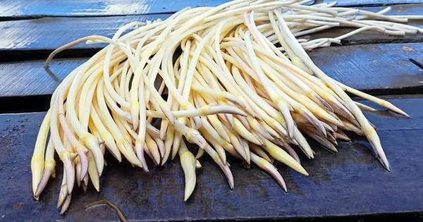 2 loại rau người Việt thích mê dễ là "ổ sán", bắt mắt nhất là cái số 1