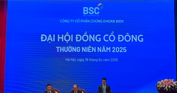 ĐHĐCĐ BSC: Lợi nhuận mục tiêu kỷ lục 560 tỷ đồng, chi trả cổ tức 10%