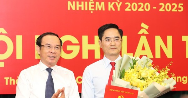 Phân công, chỉ định nhân sự ở TPHCM