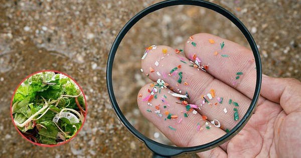 Loại rau là 'biểu tượng của ăn uống sạch và lành mạnh' nhưng nguy cơ cao nhiễm vi nhựa: Cần làm gì?