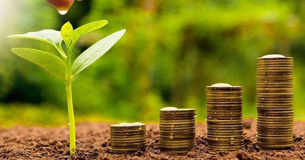 Lịch chốt quyền cổ tức 21/4-25/4: Cổ tức tiền mặt cao nhất 30%, một ngân hàng chi hơn 2.000 tỷ đồng trả cổ tức