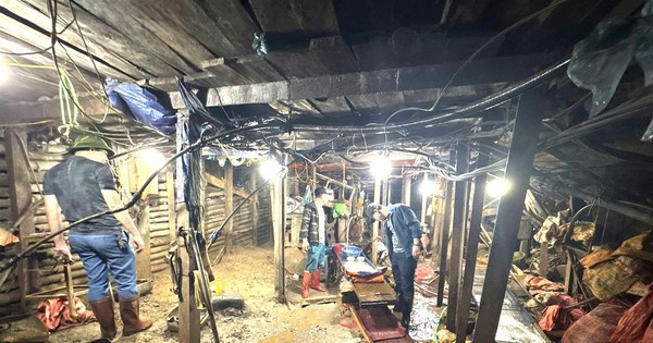 Gần 100 cảnh sát khám xét diện rộng đường dây khai thác vàng trái phép, bắt 47 đối tượng