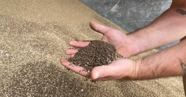 Hàng trăm nghìn tấn hàng giá rẻ từ Lào vừa đổ bộ Việt Nam: Sắp chịu thuế GTGT 5%, là 'cứu tinh' của nông sản Việt
