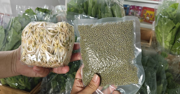 Lo giá đỗ ngâm hóa chất, người tiêu dùng "săn" giá ốm, rễ dài ở chợ xanh