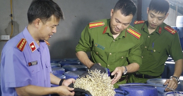 Vạch trần thủ đoạn của 4 kẻ sản xuất 3.500 tấn giá đỗ ngâm chất cấm ở Nghệ An