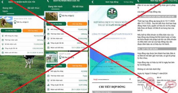 Công an công bố hai đường link "nuôi bò" độc hại: Ít nhất 751 người đã là nạn nhân, thiệt hại hơn 17 tỷ