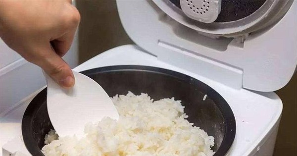 Nồi cơm điện có 3 công tắc bí mật: Mỗi tuần chạm 1 lần là tiền điện giảm “kịch đáy”