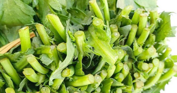 4 loại rau "không bao giờ bị phun thuốc trừ sâu", nhất là cái số 1