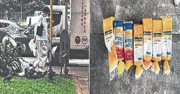 Cho chim bồ câu ăn, người phụ nữ 59 tuổi bị phạt gần 95 triệu đồng