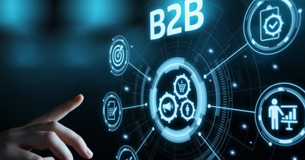 Bức tranh thương mại điện tử B2B Việt Nam 2025 ra sao?