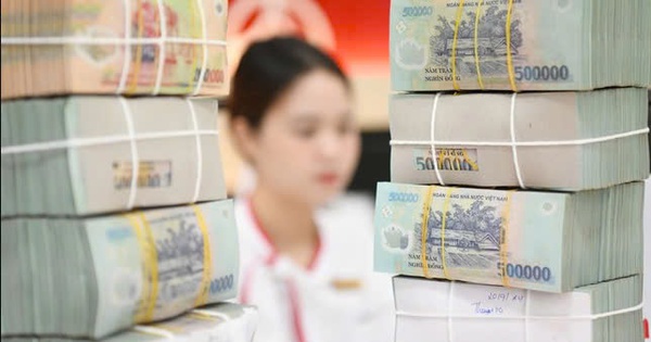 Đầu tư khôn ngoan: Phân tán rủi ro hay chọn “giỏ” an toàn?