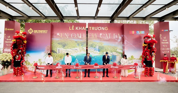 Sun Gallery Cat Ba: Không gian trải nghiệm Thành phố Vịnh trung tâm Xanh Island sống động